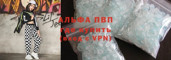 гидра Инта