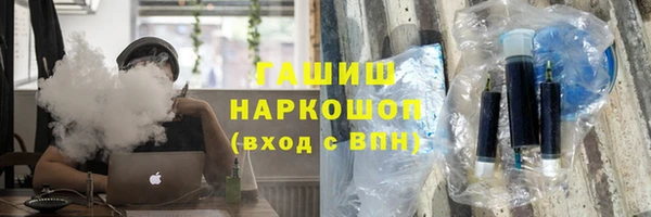 гидра Инта