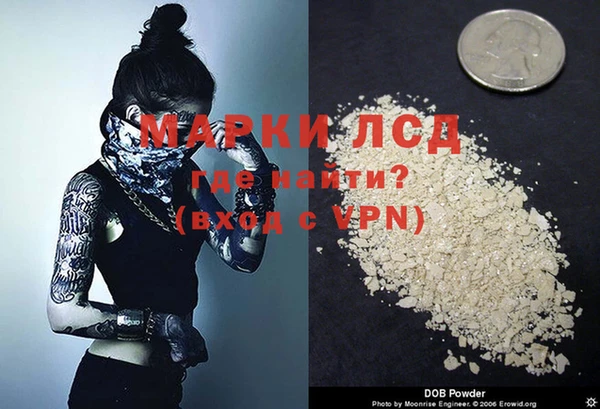 гидра Инта