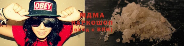 гидра Инта