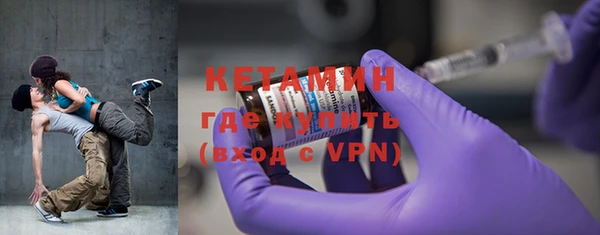 гидра Инта