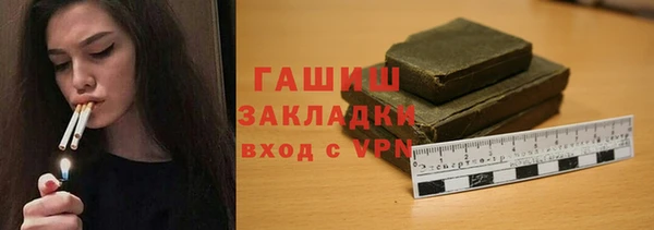гидра Инта