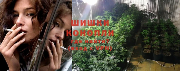 гидра Инта