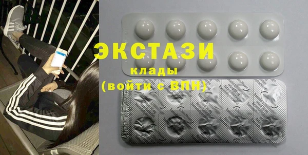 гидра Инта