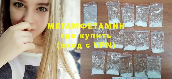 гидра Инта