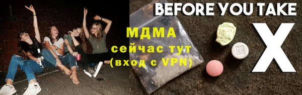 гидра Инта