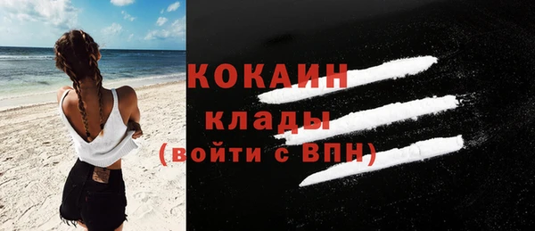 гидра Инта