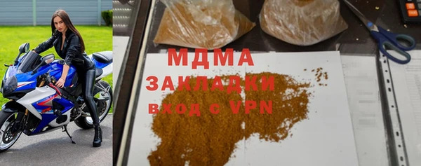 гидра Инта