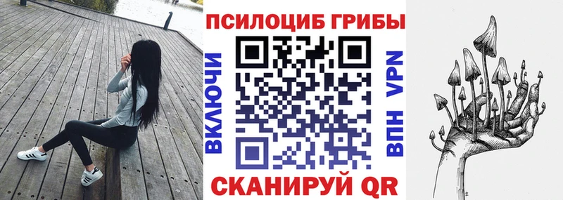 Купить закладки  Карасук  Галлюциногенные грибы ЛСД 